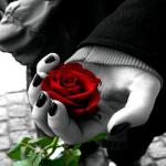 FAGHAT DOKHTAR BOODAN RO ESHGHE