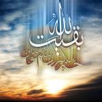 اِشفِ صَدرَ الحُسَینِ بِظُهورِ الحُجَّة