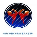 ▂▃▄▅▆▇█▓▒░  سید عرفان حسین نیا ONLINEKARATE  ░▒▓█▇▆▅▄▃▂