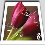 آسمان رویایی